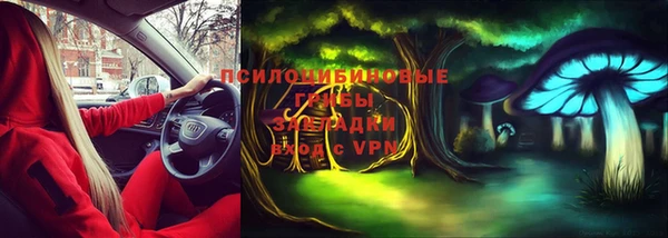 винт Алзамай