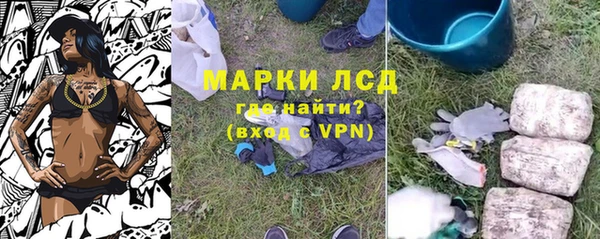 винт Алзамай