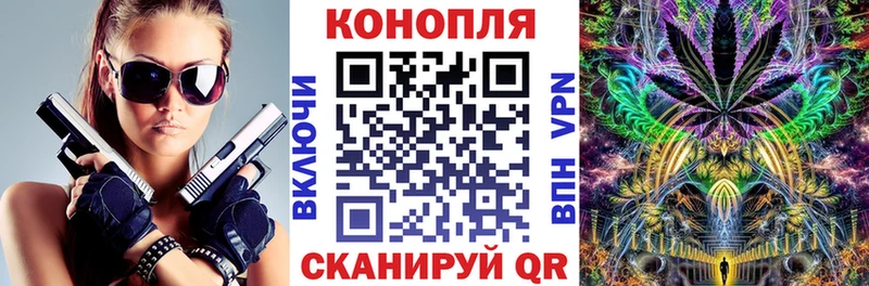 Канабис сатива  продажа наркотиков  МЕГА как войти  Асбест 
